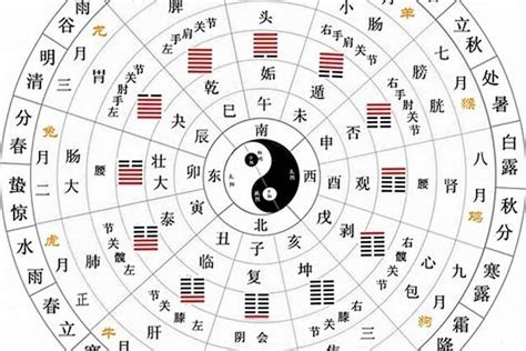 星座 五行|十二星座与五行的关系